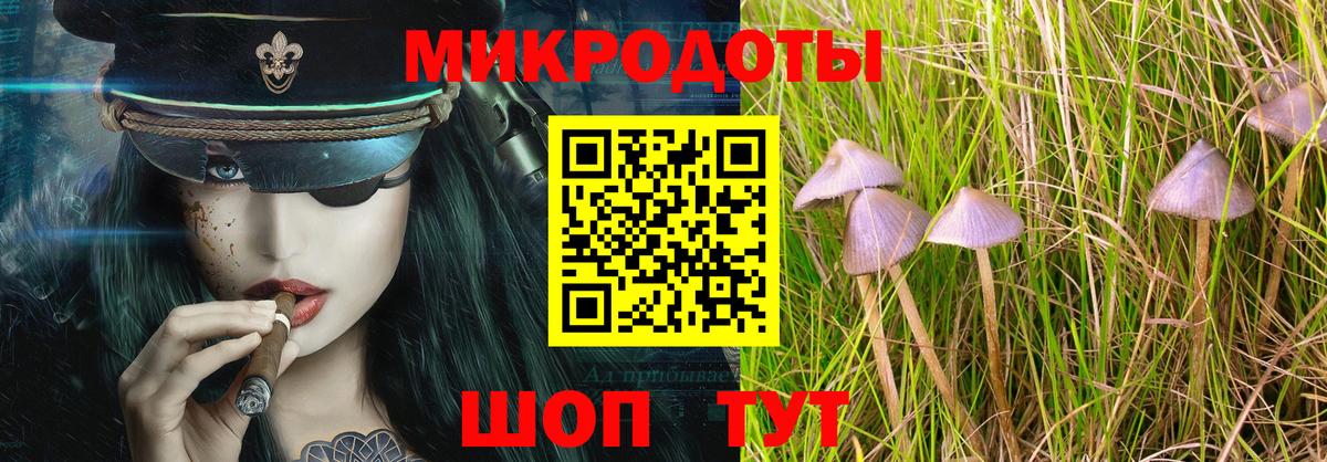 Псилоцибиновые грибы мухоморы  Вход с VPN  Галлюциногенные грибы GOLDEN TEACHER  Сердобск 